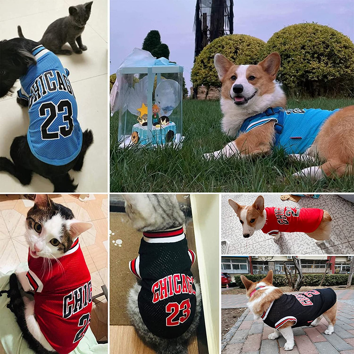 Dog Basketball Jersey - Summer Fashion Cotton T-Shirt for Large, Medium & Small Dogs - Blue and Red - Size Large (Back: 13.78 in, Chest: 18.9 in)