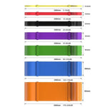 Bandes de résistance portables